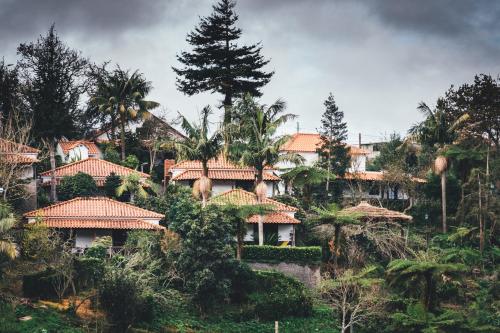 un groupe de maisons sur une colline plantée d'arbres dans l'établissement Casas de Campo do Pomar B&B - Self Check-in, à Santana