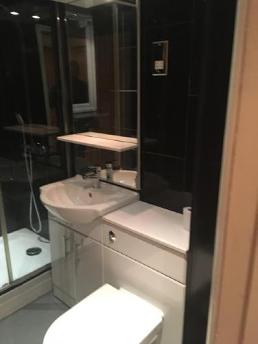a bathroom with a sink and a toilet and a shower at Apartment & Rooms in London in Croydon
