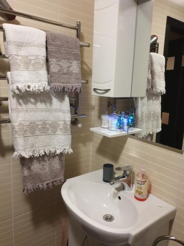 Φωτογραφία από το άλμπουμ του Elena's Holiday Apartment σε Kamianets-Podilskyi