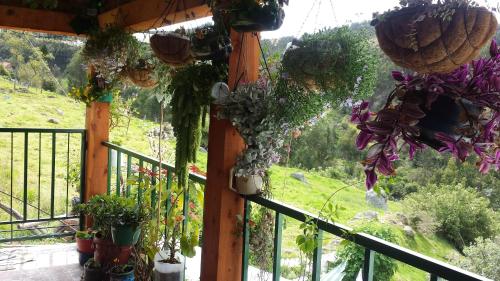 a balcony with potted plants and a view of a mountain at HOSPEDAJE BELLA VISTA MONGUI in Monguí