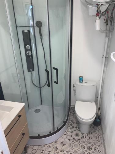 bagno con doccia e servizi igienici. di Appartement vue mer poste bleu a Malo-les-Bains