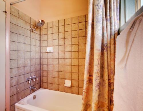 a bathroom with a tub and a shower curtain at 2 Mi to Slopes Mtn-View Breckenridge Getaway! in Breckenridge
