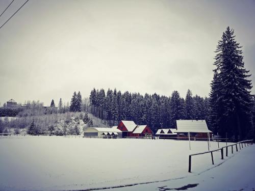a snow covered field with houses and a tree at Czarna Owca in Istebna