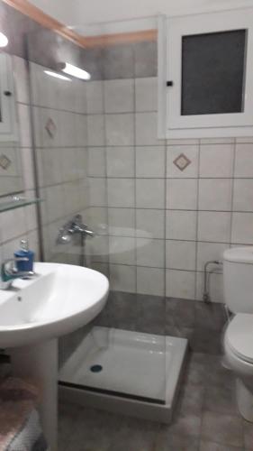 uma casa de banho com um lavatório e um WC em Apartments Thekla em Karavádhos