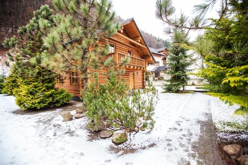 a log cabin in the snow with trees at Zruby Bystrá, Chopok Juh in Bystrá