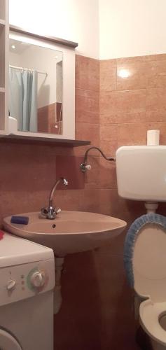 ein Badezimmer mit Waschbecken, Toilette und Spiegel in der Unterkunft Apartman Maki in Pale