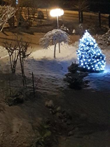 a christmas tree with blue lights in the snow at Staś -przy szkole nr 3 w Skawie in Skawa