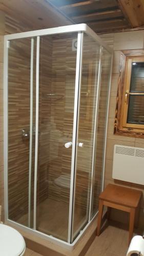 La salle de bains est pourvue d'une douche en verre et de toilettes. dans l'établissement Holiday Home Prdelanca, à Luče