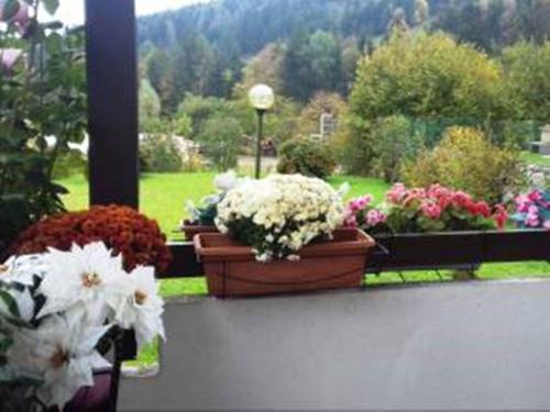 Villa Chanel – Photos 4