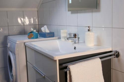 a bathroom with a sink and a washing machine at Apartment Fernblick in Glein