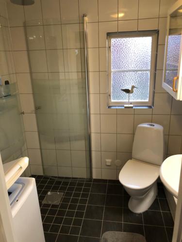 a bathroom with a toilet and a sink and a window at Badstugan in Karlshamn