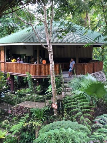 O grădină în afara Pulangbato Falls Mountain Resort