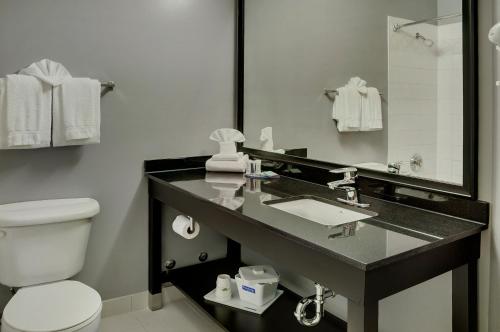 A bathroom at Travelodge Hotel by Wyndham Sudbury