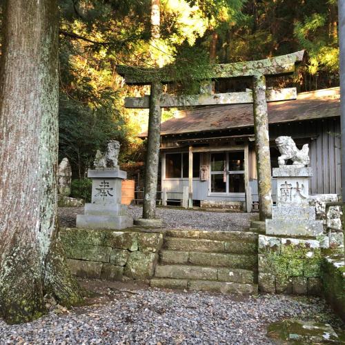 a shrine in a forest with a tree at Kumano Winery Guest House in Tanabe