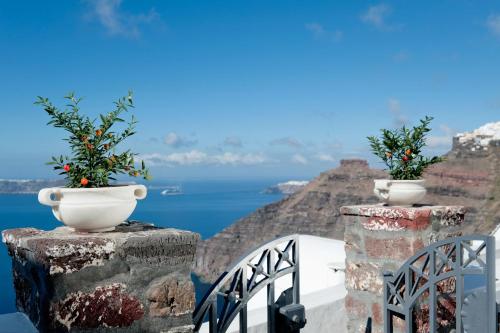 two white pots with plants on the side of a cliff at Vallas Apartments & Villas in Firostefani