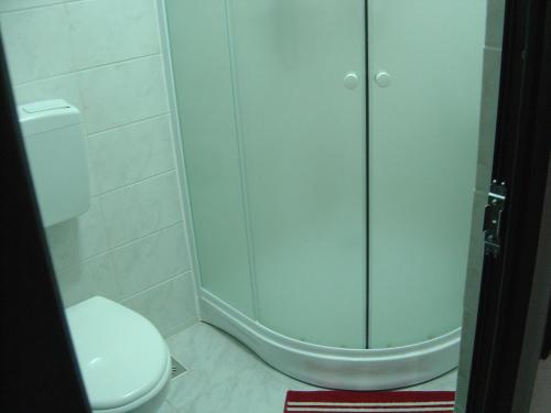 a bathroom with a shower and a toilet at Casa Lia in Valea Putnei