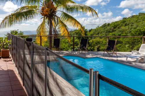 a pool on a balcony with a palm tree at Villa Vue Sauvage in La Trinité
