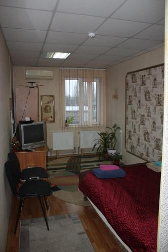 a living room with a bed and a television at motel Pid Strihoyu in Kremenchuk