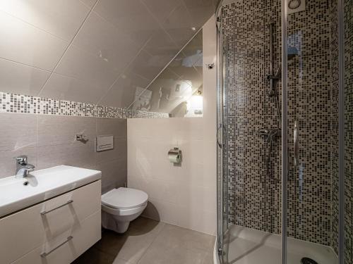 a bathroom with a shower and a toilet and a sink at Dom Wypocz Pod Litwinką Apartamenty in Białka Tatrzanska