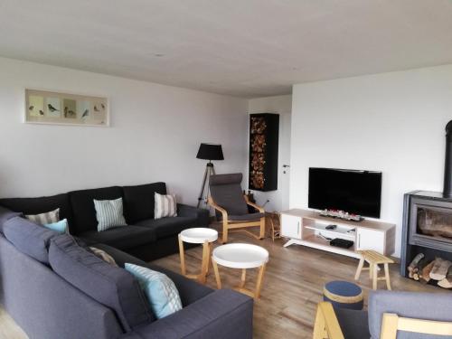 a living room with a couch and a tv at La Balade d'Annie in Trooz