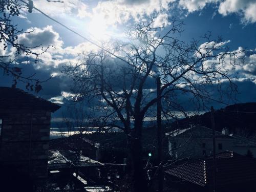 a tree with the sun in the sky at 4 Seasons in Vizitsa in Vizitsa