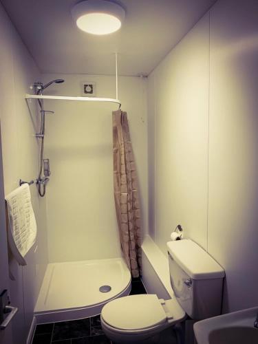 a small bathroom with a toilet and a shower at Four Oaks Hotel in Llandudno
