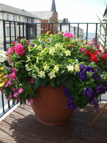 a large pot of flowers on a balcony at The Lonsdale in Blackpool