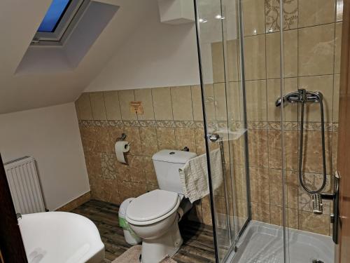 a bathroom with a toilet and a glass shower at Casa Suzy & Roxy in Arpaşu de Jos