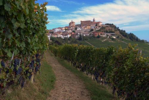 a bunch of grapes on a hill in front of a village at Agricola Domus in Barolo
