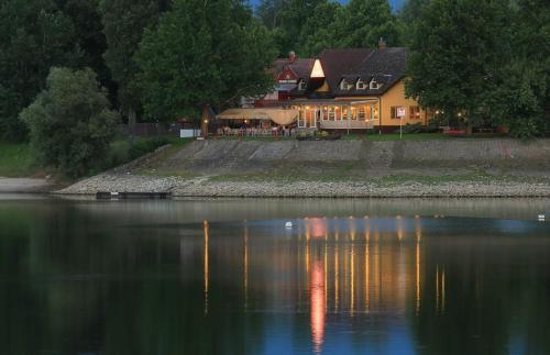バヤにあるVizafogó Panzió és Étteremの水の岸に座る家