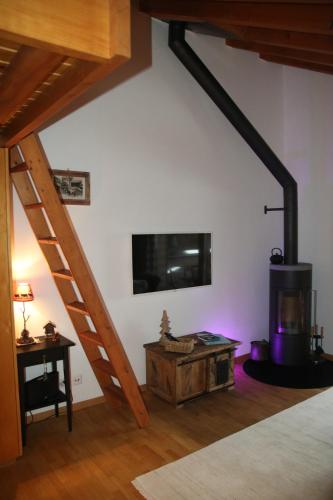 a living room with a woodburning stove in a room at Rodasia in Verbier