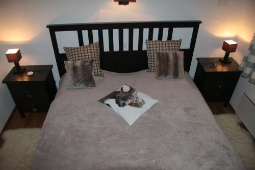 a cat laying on top of a bed at Rodasia in Verbier