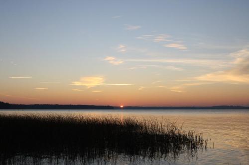 a sunset over a body of water with grass at Ferienhaus Seensucht in Göhren-Lebbin