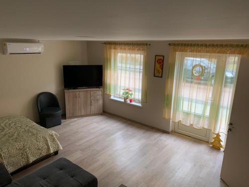 TV a/nebo společenská místnost v ubytování Rusnės Apartamentai