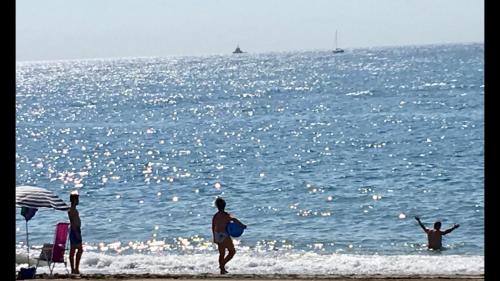 MARBELLA - ALICATE BEACHFRONT Apartment-9