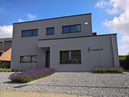 Fossee – Photos 4