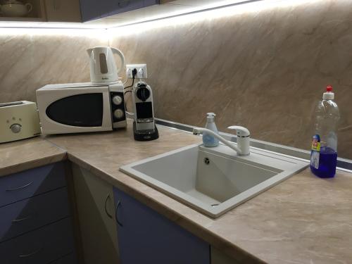 um balcão de cozinha com um lavatório e um micro-ondas em Apartment Vienna 55 em Viena