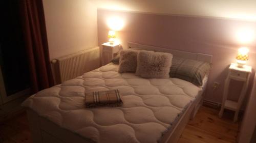 a bed in a room with two lights on two tables at Agroturystyka SZYSZKA in Polnica