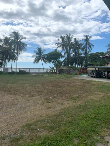 a field with palm trees and the ocean in the background at Gallina E Palo Beachfront Hotel in Jacó