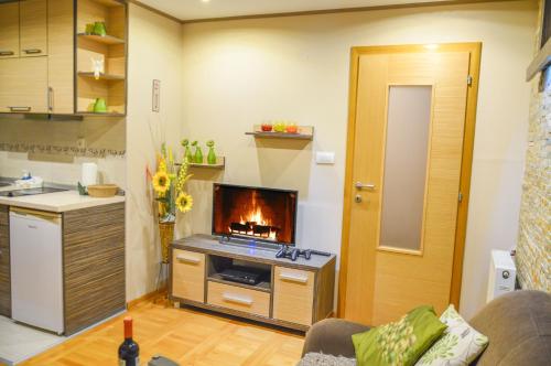 a living room with a fireplace and a kitchen at Apartments Josipovic in Zlatibor