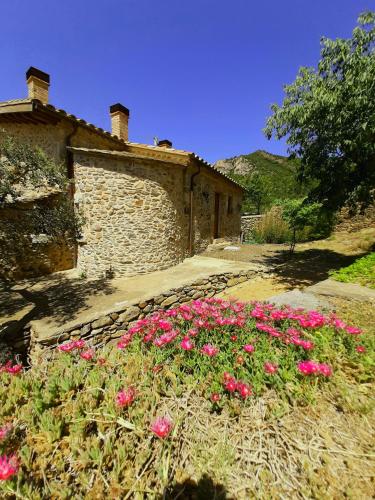 a stone building with pink flowers in front of it at Can Santalo in Cantallops