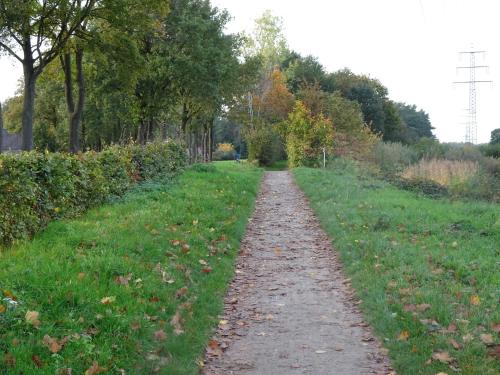 a long dirt road in a field with trees at Ferienhaus Nr 6 am Quendorfer See in Schüttorf