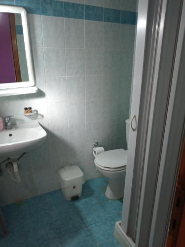a bathroom with a toilet and a sink at Epikoureios Apollon in Andritsaina