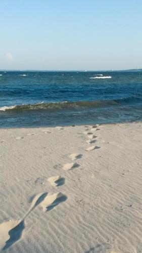 un grupo de huellas en la arena de la playa en Haus OstseeLicht en Sierksdorf