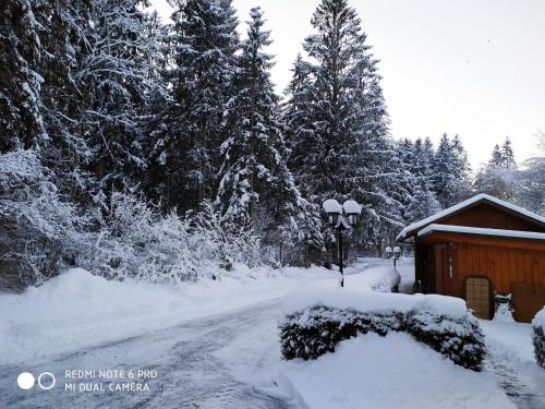 a snow covered road with a house and trees at Apartmenthaus Kestel Gasthof in Kirchbach