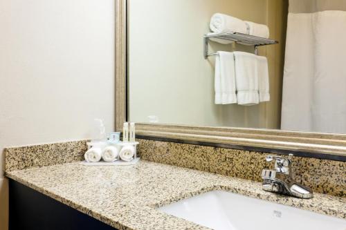 a bathroom with a sink and a mirror at Holiday Inn Express Hotel & Suites Port Clinton-Catawba Island by IHG in Port Clinton