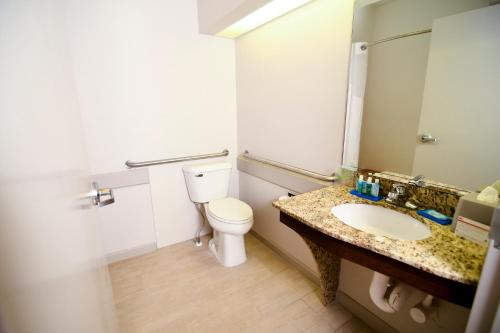 a bathroom with a toilet and a sink and a mirror at Holiday Inn Express Hotel & Suites Port Clinton-Catawba Island by IHG in Port Clinton