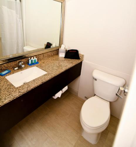 a bathroom with a toilet and a sink and a mirror at Holiday Inn Express Hotel & Suites Port Clinton-Catawba Island by IHG in Port Clinton