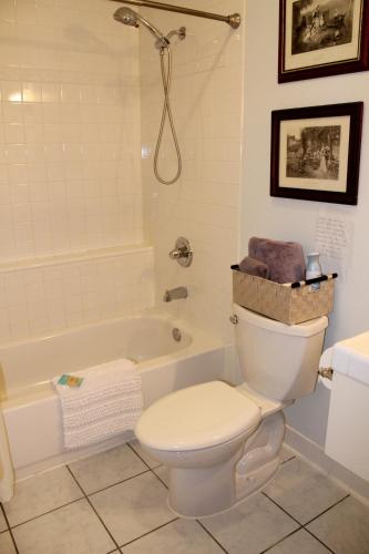 a bathroom with a toilet and a bath tub at Maria's Creekside B&B in Anchorage