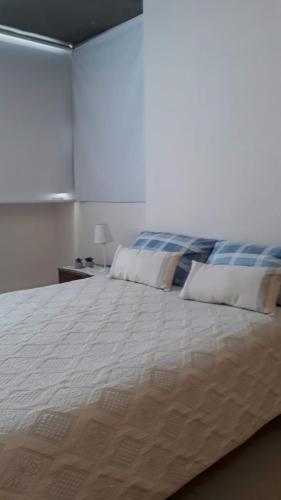 聖米格爾德圖庫曼的住宿－relajado monoambiente，一张大床,上面有两个枕头
